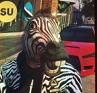 Дэн Hooman Zebra